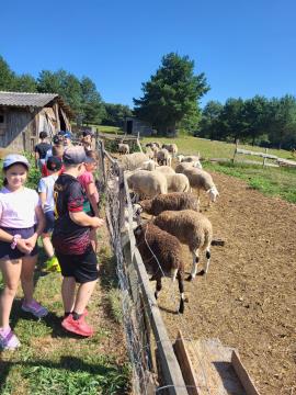 V Peterlougu pripravili 2. poletne počitnice 18